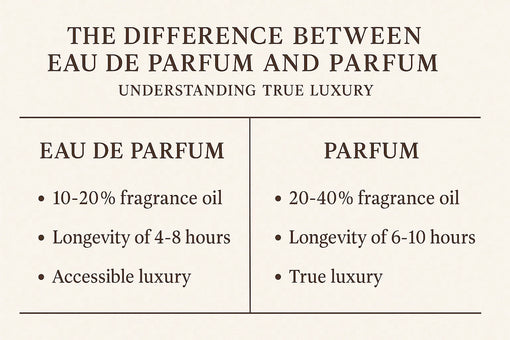 Royale Noir Blog of Comparison chart between Eau de Parfum and Parfum on a beige background